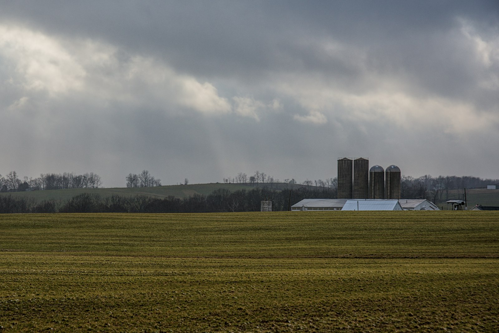 Grain storage silos and outbuildings on flat agricultural land typical of the North Prairie region