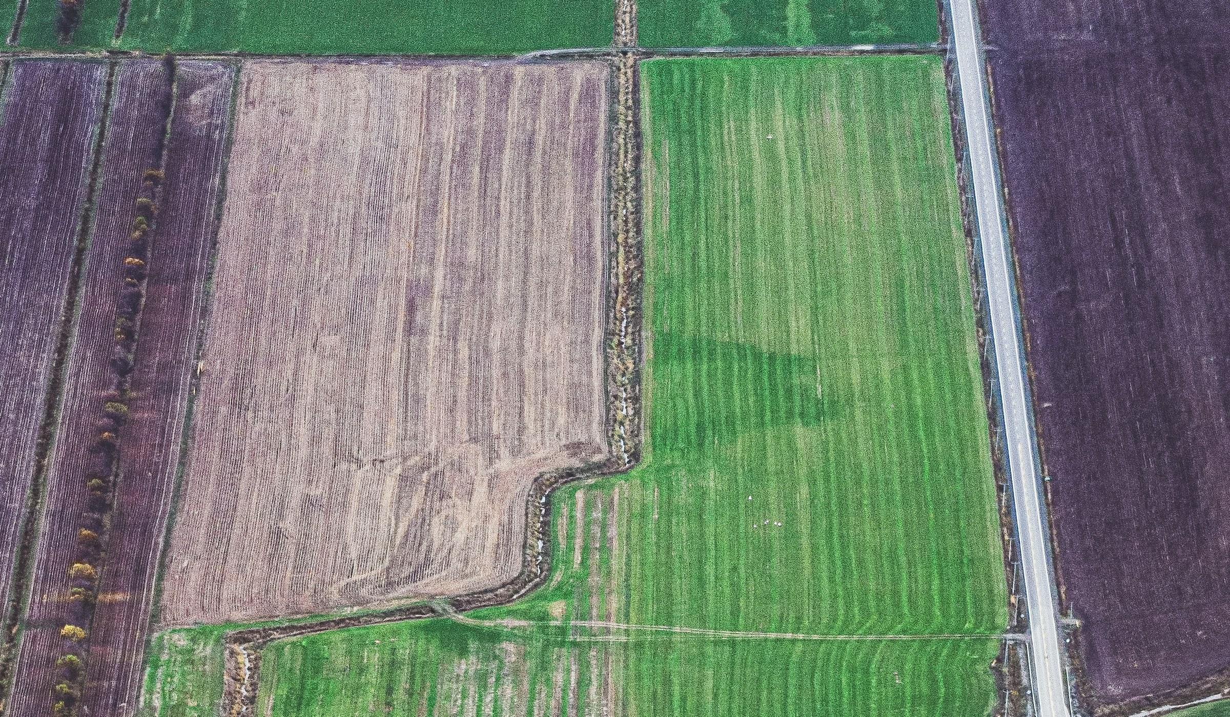 Aerial view of productive farmland crossed by a rural highway in western Kansas